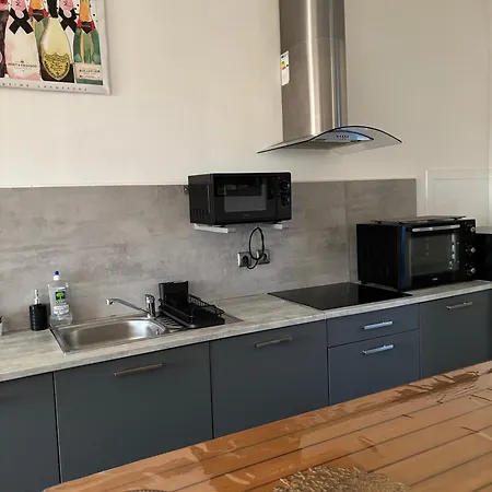 Appartement Fine Bulle En Champagne - 1 - Terrasse - Rdc - Parking - Centre
