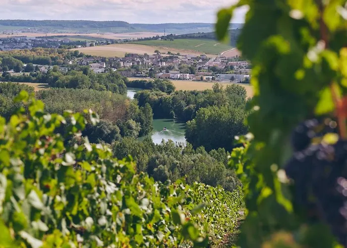 Fine Bulle En Champagne - 1 - Terrasse *